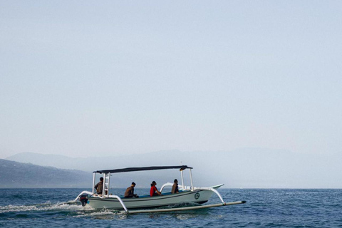 Tour dei delfini di Bali Lovina e osservazione dell&#039;albaBali Lovina delfino e osservazione dell&#039;alba