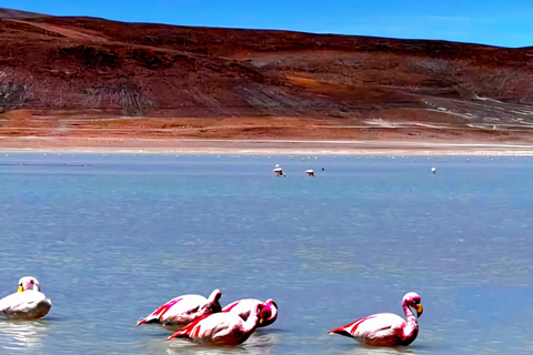 Tour guiado: SALAR DE UYUNI_3 DÍAS 2 NOCHES