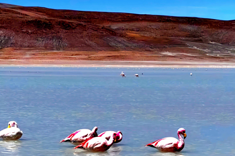 Tour guiado: SALAR DE UYUNI_3 DÍAS 2 NOCHES