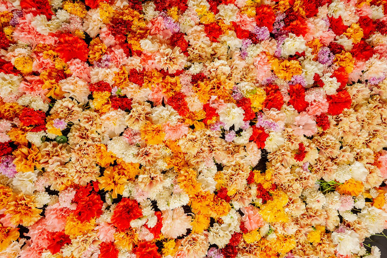 Zürich: Disco Eintritt inkl. DJ