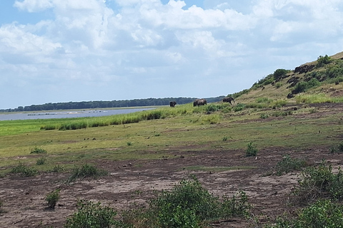 Nairobi: Amboseli National Park Tagestour mit PirschfahrtenSolo Nairobi: Amboseli National Park Tagestour