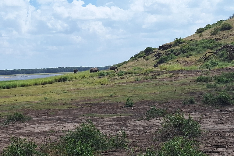 Nairobi: Amboseli National Park Tagestour mit PirschfahrtenSolo Nairobi: Amboseli National Park Tagestour