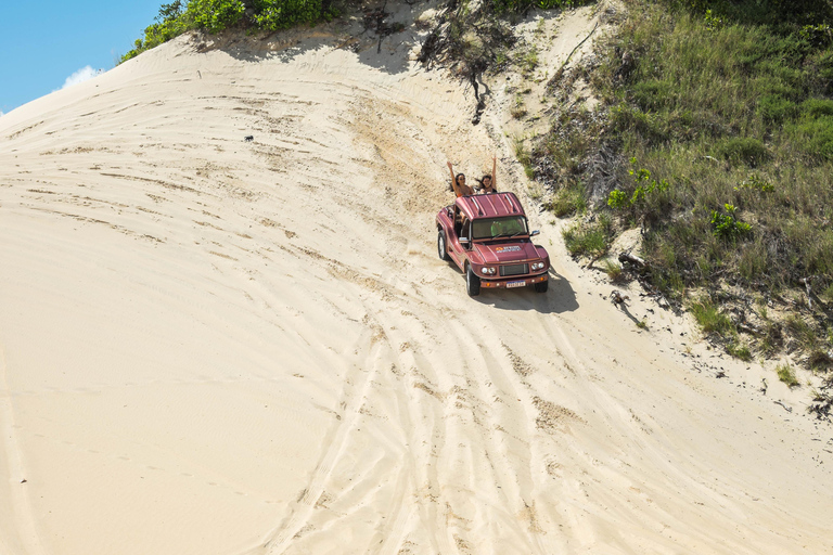 From Natal: Genipabu Dunes Buggy Adventure