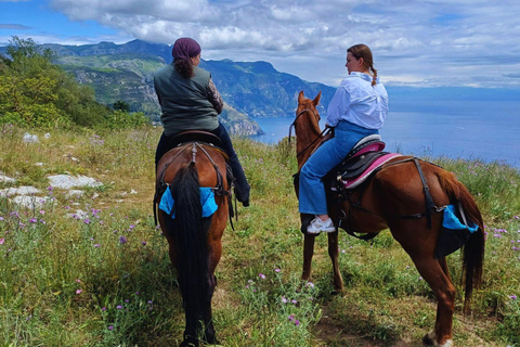 Sorrento: 3-godzinna przejażdżka konna po półwyspie Sorrento