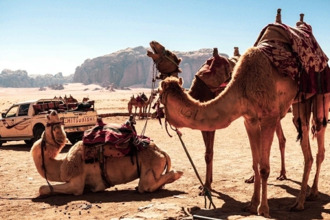 3-Tages-Tour Amman Petra Wadi Rum Madaba Mount Nebo Totes Meer...Transport & Unterkunft im Wadi Rum Classic-Zelt
