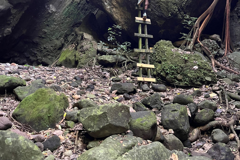 St Kitts: Bloody Point River Hike Petroglyphs+Bat Cave