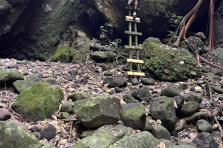 St Kitts: Bloody Point River Hike Petroglyphs+Bat Cave