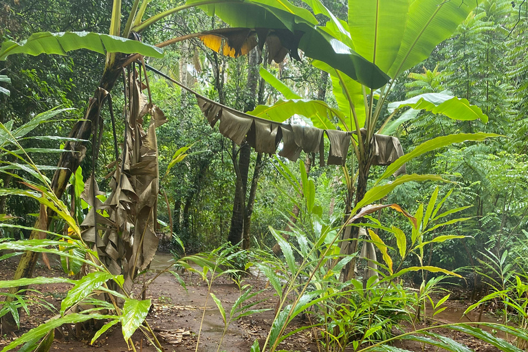 Sansibar : Gewürzfarm &amp; Rundgang in Stone Town