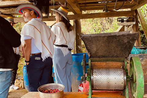 The Incredible Coffee Experience: Secrets of Medellín The Incredible Coffee Experience: Secrets of Medellin