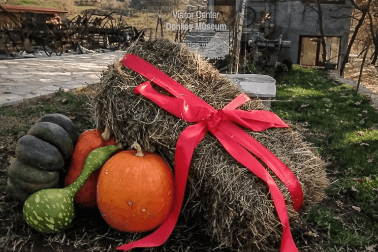 From Budva: Tour of Donkey Farm