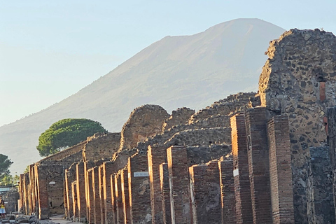 Guided group tour of Pompeii with an expert in archaeology.