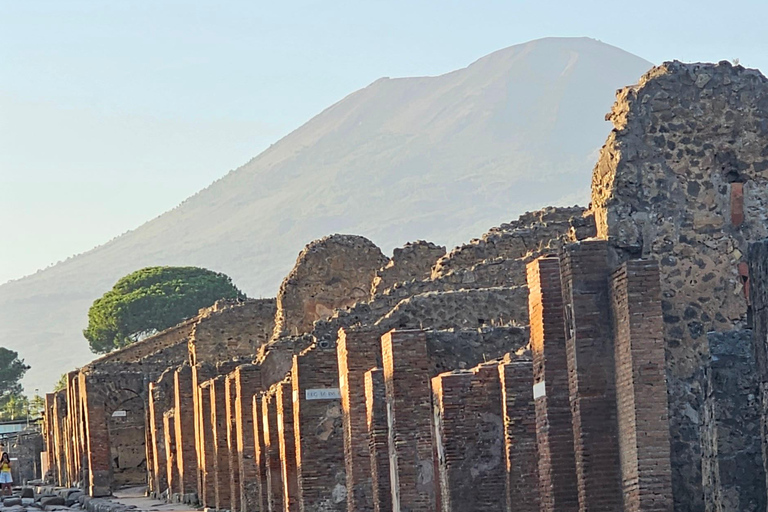 Pompeii skip-the-line group tour with an archaeologist