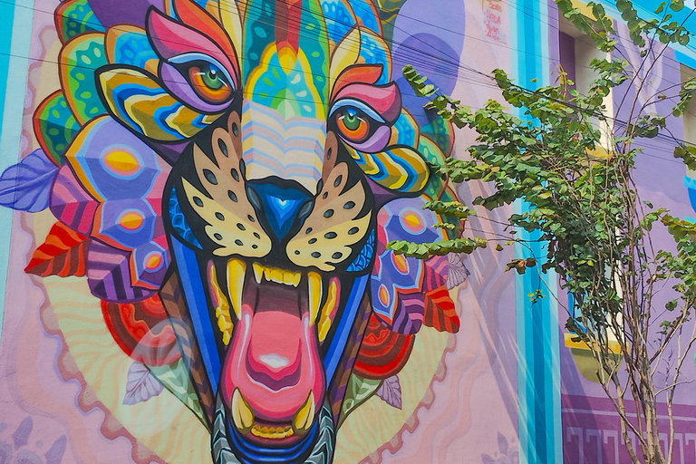 Tour de arte de rua: centro da Cidade do México