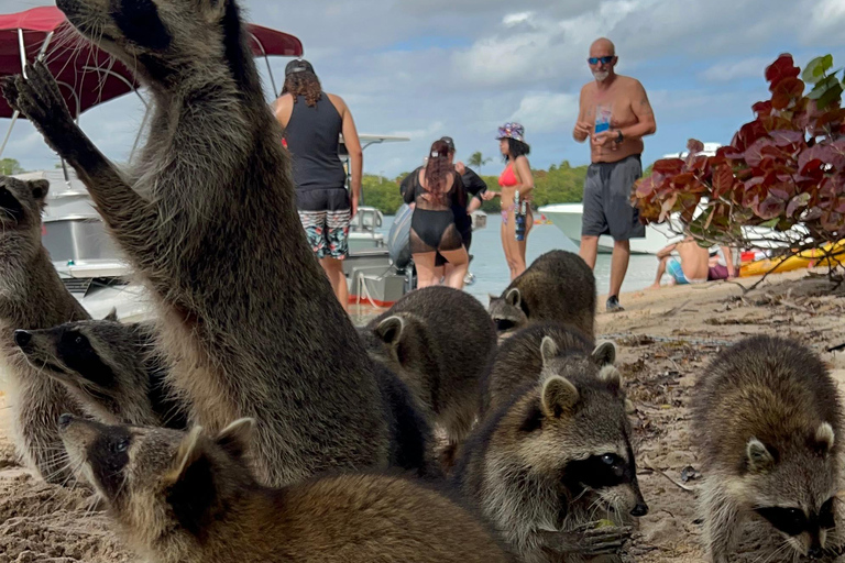 Wildlife Boat Tour & Racoon Island