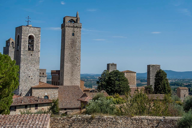 Privat Toscana-tur till Pisa, Siena, San Gimignano och lunch