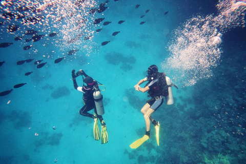 Hurghada: Dive Experience for Beginners or Certified Divers Full-Day Scuba Diving for Certified Divers