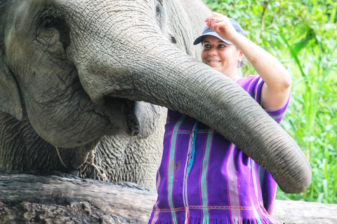 Experiencia exclusiva de medio día con animales gigantes en familia