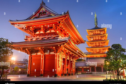 Tokyo Private Full-Day Customizable Tour with English Guide