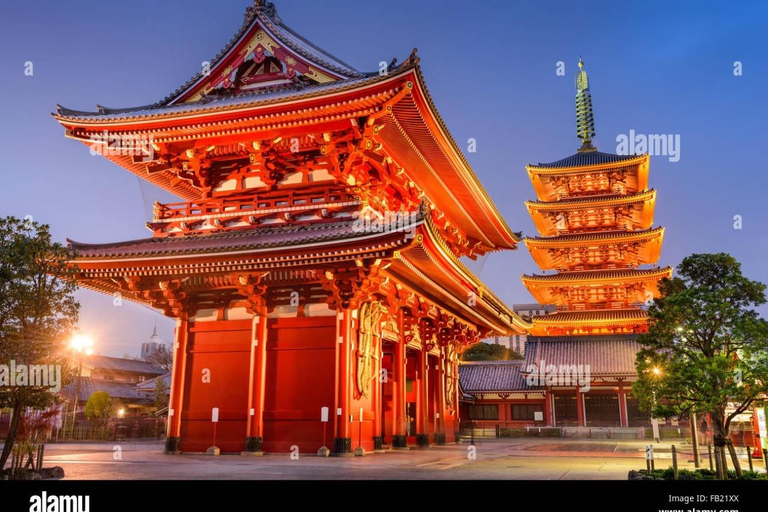 Tokyo Private Full-Day Customizable Tour with English Guide