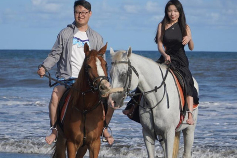 Bali: Bali Beach Horse riding Experience Horse Riding Beach 1 Hour No Transport