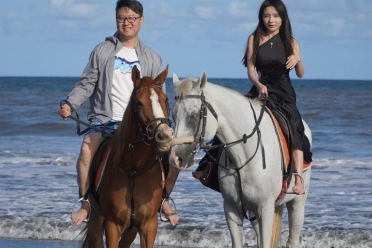 Bali: Bali Beach Horse riding Experience Horse Riding Beach 1 Hour No Transport