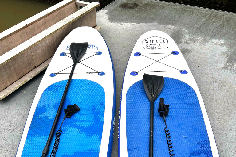 Stand-Up Paddleboarding Experience Rotterdam