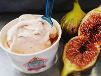 Tavira City & Ice Cream