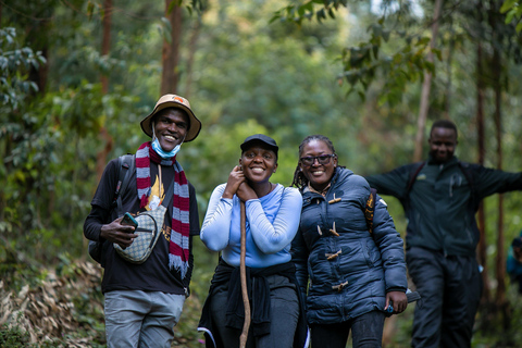 Uganda&#039;s Top Gorilla Trek: 4-Day Luxe Safari from KigaliPer Person Sharing Rate for Two