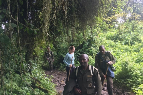 9 Dagen Rwanda's Regenwouden, Gorilla's, Akagera en Nyungwe