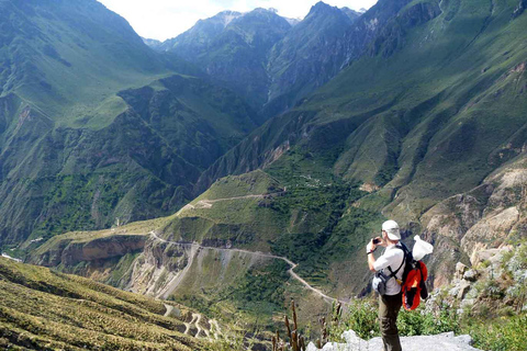 De Arequipa: Excursão ao Canyon de Colca+Transferência para Cusco