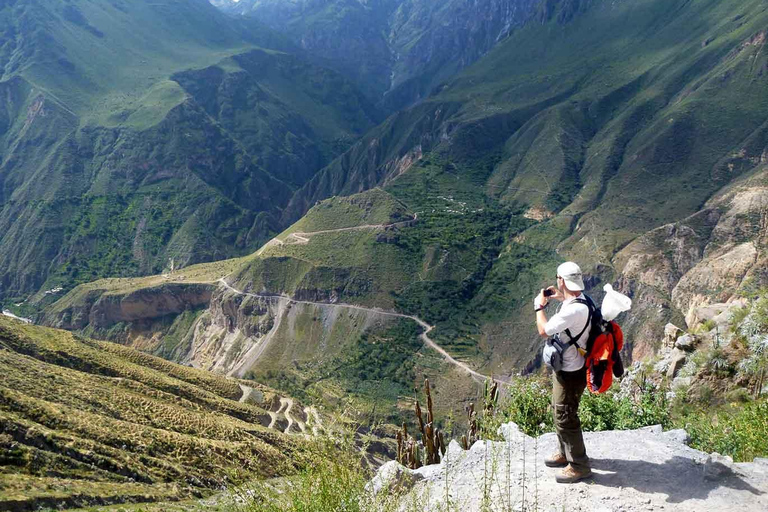 De Arequipa: Excursão ao Canyon de Colca+Transferência para Cusco