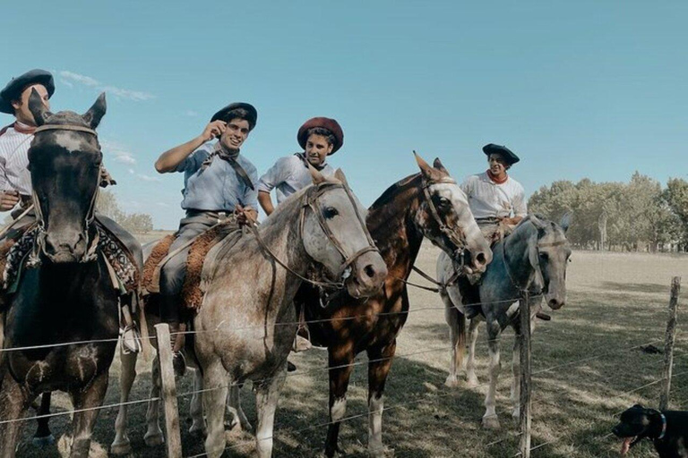 Buenos Aires: Wycieczka 1-dniowa na Ranczo Gaucho Don Silvano