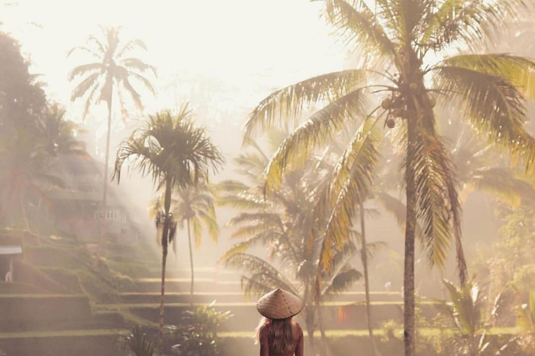 Ubud Monkey Forest, Temple, Rice Terrace and Waterfall Tour Day Tour With Private Tour & All Tickect Included