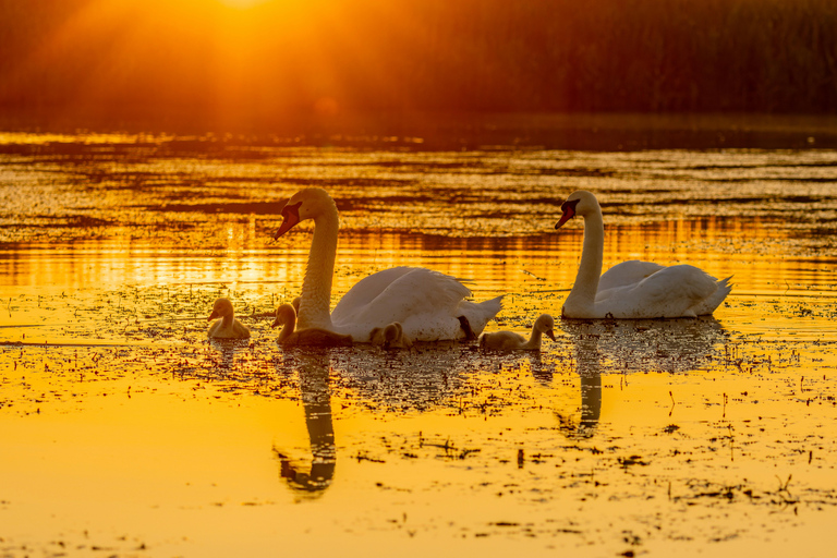 Tulcea: Danube Delta Tour, Mila 23, Letea & Sulina Beach