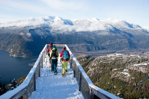 Squamish : Billet d'entrée à la gondole Sea to Sky