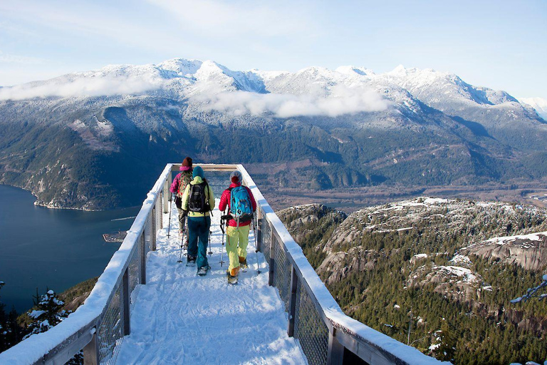 Squamish : Billet d'entrée à la gondole Sea to Sky