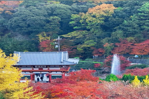 Kyoto Private Customizable Full Day Tour with Luxury Vehicle
