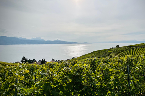 Upplevelse av Lavaux vingård