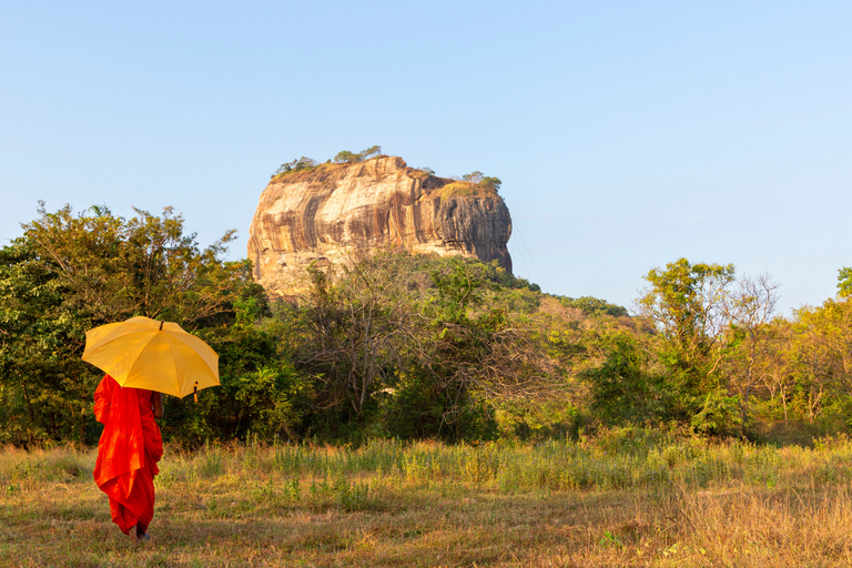 Colombo: 4-Day Cultural Triangle Tour with Wilpattu Safari