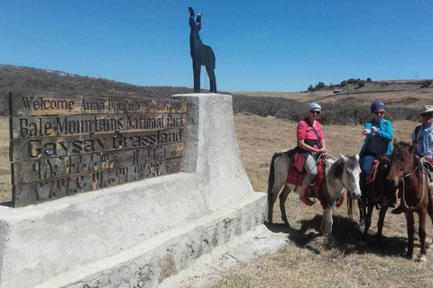 Addis Ababa: 6-Day Bale Mountains Guided Tour with Meals