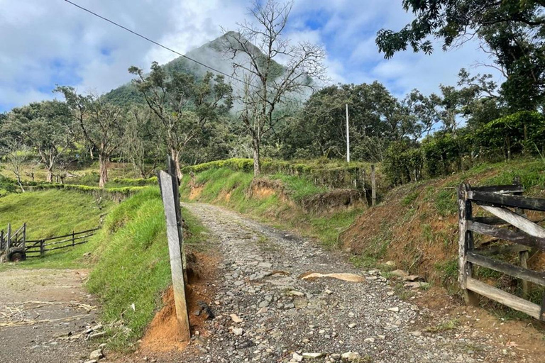 MEDELLÍN: WEJDŹ I ZDOBĄDŹ NATURALNĄ PIRAMIDĘ CERRO TUSAMedellin: Wycieczka piesza Cerro Tusa ze śniadaniem i lunchem