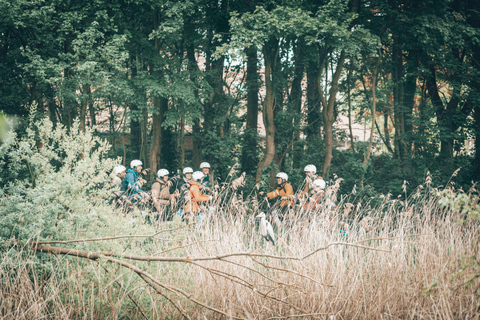 Ghent: Green Snake E-Step Tour with Local Guide
