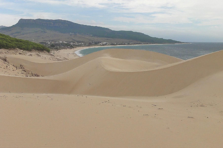 Tarifa. Hiking from the Valdevaqueros Dune to the Bolonia Dune Tarifa. Hiking from the Valdevaqueros Dune to the Bologna Dune