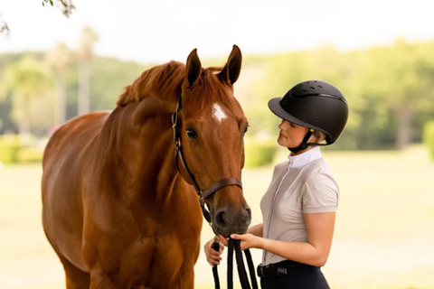 Reiten, traditionelles Essen und Panoramablicke