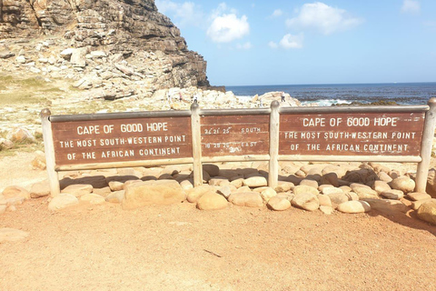 Città del Capo:Nuotare con i pinguini Boulders Beach cape point