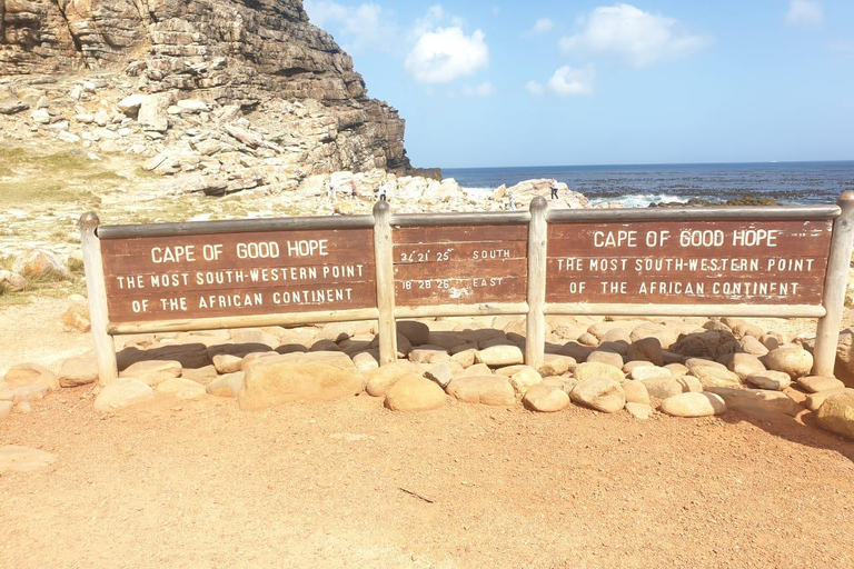 Ciudad del Cabo:Nadar con pingüinos Boulders Beach cape point