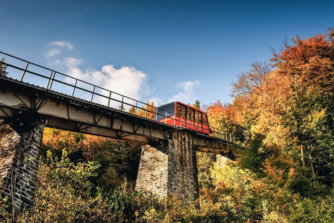 Interlaken: ticket kabelbaan naar Harder Kulm