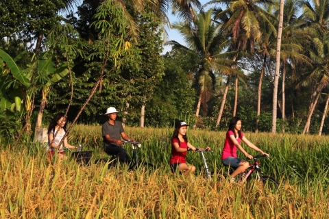 Borobudur Dorf Radfahren und Tempel Tour mit TransferMit Meeting Point