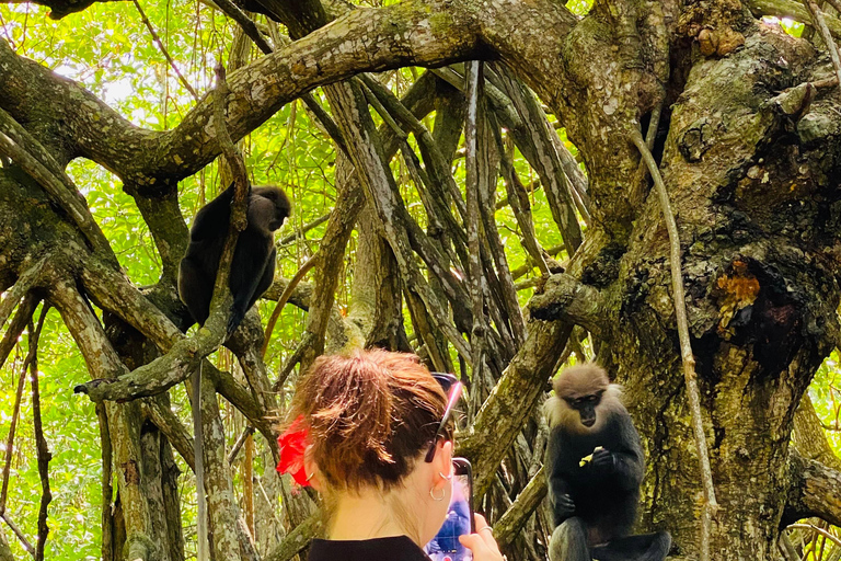 Bentota River Safari: Entdecke Wildtiere und Mangroven vom Boot ausBentota River Safari: Entdecke die Tierwelt und Mangroven vom Boot aus
