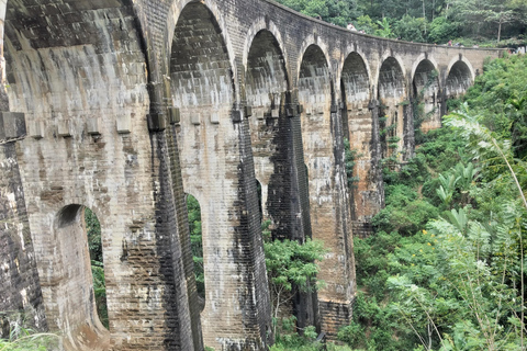 Ella : excursion d&#039;une journée inoubliable et tour en trainElla : excursion d&#039;une journée inoubliable et balade en train